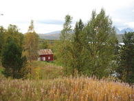 eiendom