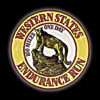 ws100_logo-splash
