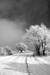 WinterRoad