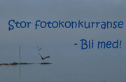 Fotokonkurranse_375_300x194