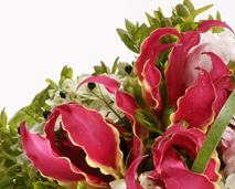 Blomster