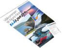 Vignett avis_330