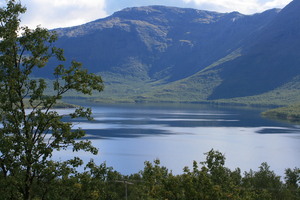 IMG  4585  