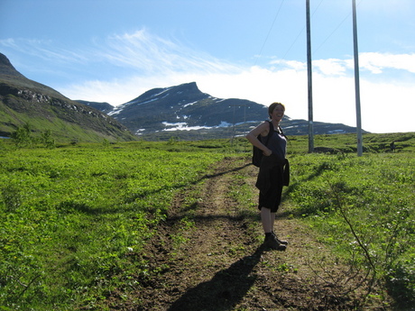 ute 062_750x563