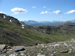 ute&nbsp;076_750x563