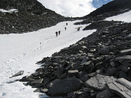 ute 081_750x563