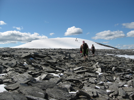 ute 084_750x563
