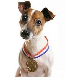 hverdagsmedaljen_ledelse_cropped_250x296