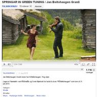 Springar - Jan Beitohaugen Granli