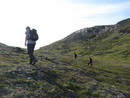 Naturlos viser veien