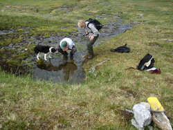 1. etappe Balsfjord på langs - ungdomskilden