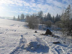 Vinter, spor i snø