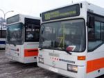 Buss