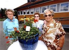 Helse og velferdssenteret. foran.jpg