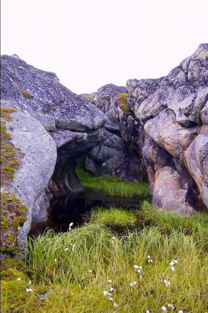 Naturskulptur