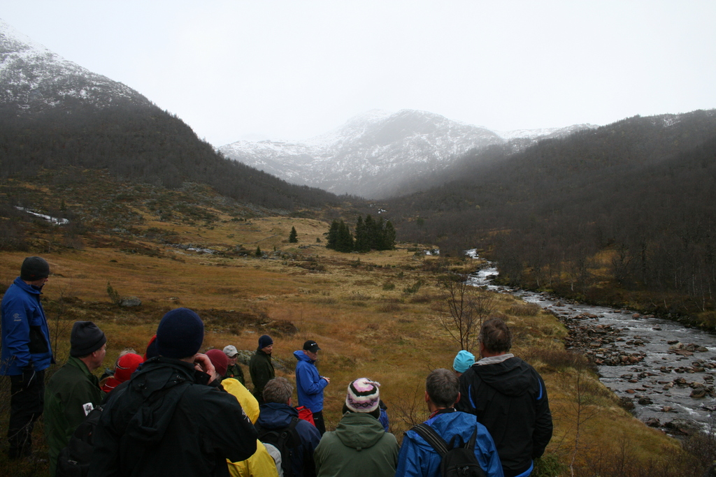 Nyastølen, Henjadalen Nyastølen, Henjadalen
