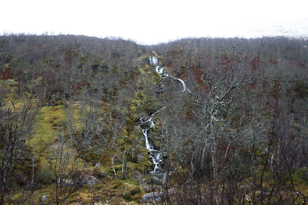 Grindsdalen Grindsdalen