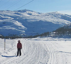sirdal
