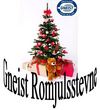 romjulsstevne