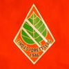 Lindaas_idrettslag[1]