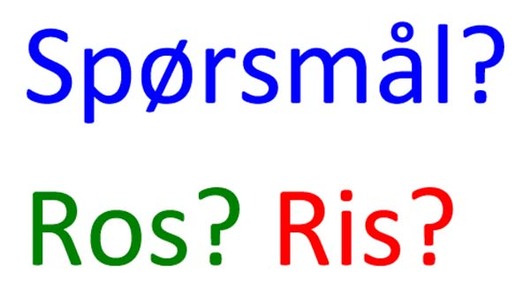 Spørsmål? Ros? Ris?