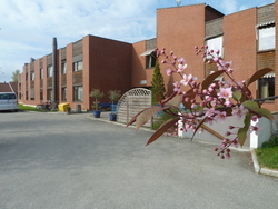 P1010827