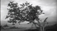 Javielsker1960