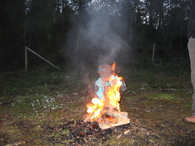 Misikalen Flammen vises i juni ©Gunn M Grønås Misikalen Flammen vises i juni