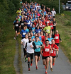 Folkeparkloepet_ingress