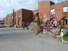 Inngang med møbler og blomstr tre_133x100_133x100