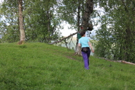 søke fysakmidler ©Gunn M Grønås søke fysakmidler