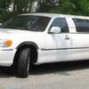 limousin
