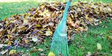 Rake løv