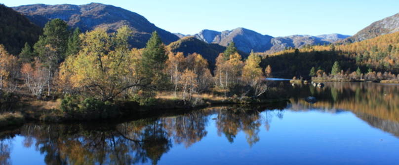 Frå Støyldalen Fotograf - Reidun T. Bjørnarå ©Reidun T. Bjørnarå Støyldalen