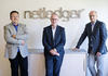Netledger Siv Dolmen Netledger