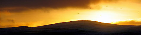 Toppbilde / sol over fjellene