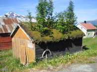 _sommer05&nbsp;007_300x225