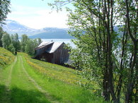 tur-Svartnes 075_500x375