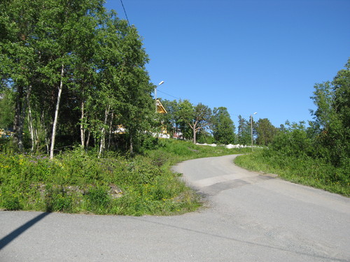 29 juni 009