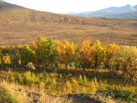 Malangsfjell 083_750x563