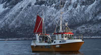 Random image