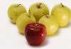 916608_red_apple_and_yellow_apples