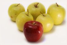 916608_red_apple_and_yellow_apples