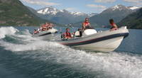 Rib 2_250x167