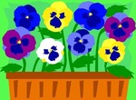 Blomst hjemmeside  