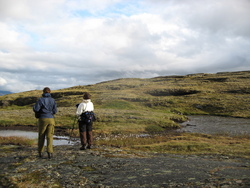 Ved Reingjerdefjellet