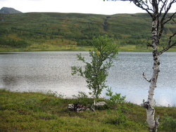 Rasteplass ved Stikkevatnet ©gunnmg Rasteplass ved Stikkevatnet
