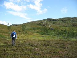 På vei mot Storåsen ©gunnmg På vei mot Storåsen