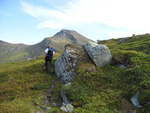 Ute i naturen