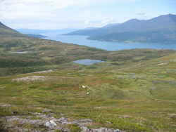 Stikkevatnet sett fra Storåsen ©gunnmg Stikkevatnet sett fra Storåsen